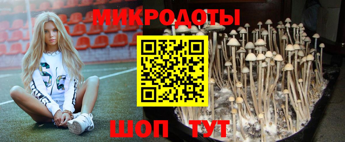 Псилоцибиновые грибы мицелий Копейск