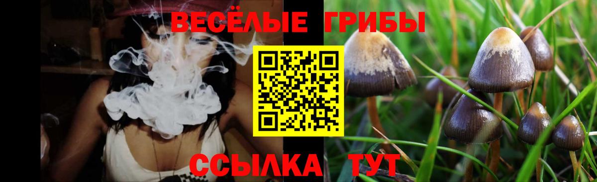 купить   Псилоцибиновые грибы Psilocybe  Вход с VPN  Копейск 